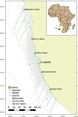 First Abundance Estimates of Heaviside’s (Cephalorhynchus heavisidii) and Dusky (Lagenorhynchus obscurus) Dolphins Off Namibia Using a Novel Visual and Acoustic Line Transect Survey